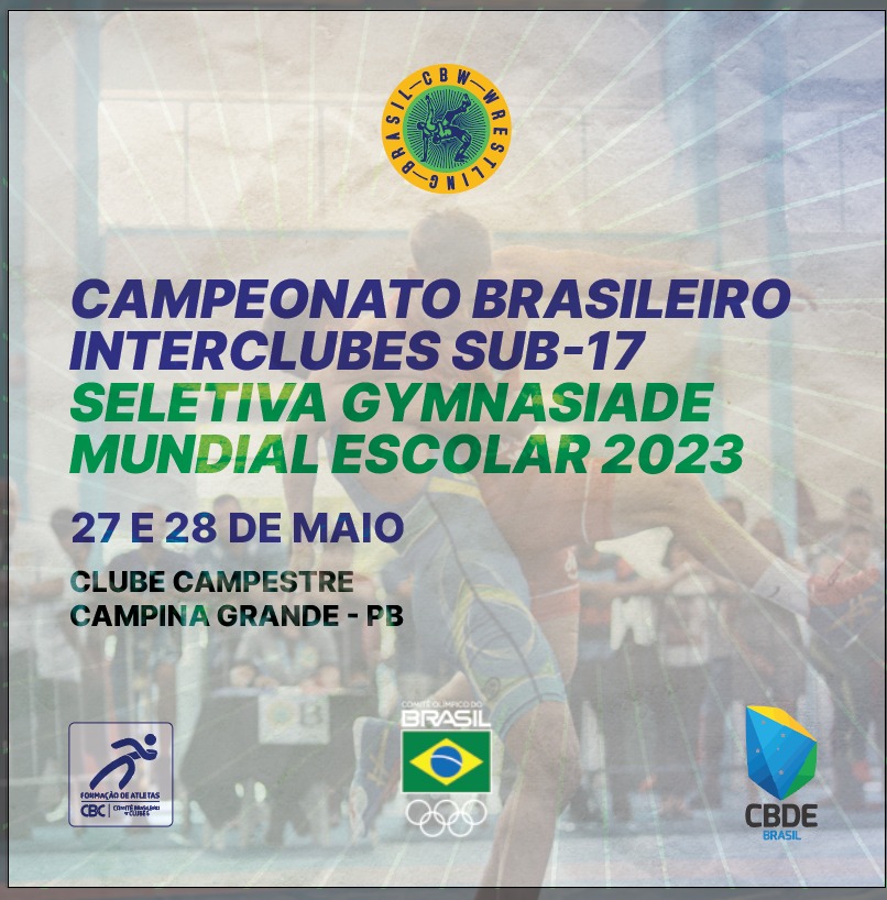 Campeões do Campeonato Brasileiro (até 2017)