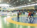 campeonato-brasileiro-masculino-2014-_101