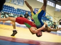 campeonato-brasileiro-masculino-2014-_171