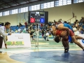 campeonato-brasileiro-masculino-2014-_202