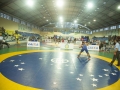 campeonato-brasileiro-masculino-2014-_219