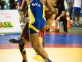 campeonato-brasileiro-masculino-2014-_281