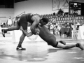 campeonato-brasileiro-masculino-2014-_303