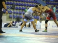 pan-americano-senior-wrestling-2017-e-livre-credito-mayara-ananias_cbw_300