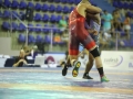 pan-americano-senior-wrestling-2017-e-livre-credito-mayara-ananias_cbw_302