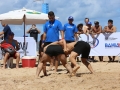 pan-americano-de-beach-wrestling-2017-credito-mayara-ananias_cbw_098