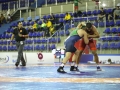 pan-americano-senior-wrestling-2017-greco-credito-mayara-ananias_cbw_001_193