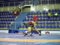 pan-americano-senior-wrestling-2017-greco-credito-mayara-ananias_cbw_001_249