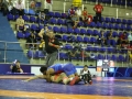 pan-americano-senior-wrestling-2017-greco-credito-mayara-ananias_cbw_001_496