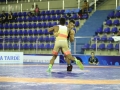 pan-americano-senior-wrestling-2017-greco-credito-mayara-ananias_cbw_001_499